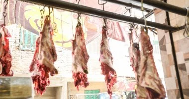 التموين تطرح لحومًا سودانية طازجة بـ 350 جنيهًا للكيلو بمنافذها