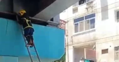 الحماية المدنية بقنا تنقذ قطة محتجزة أعلى كوبري نجع حمادي