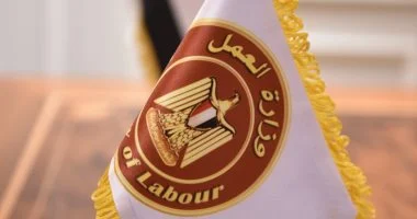العمل تحذر من احتيال واسع النطاق على منح العمالة غير المنتظمة