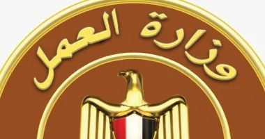 العمل تعلن وظائف سائقين براتب 13 ألف جنيه بدمياط