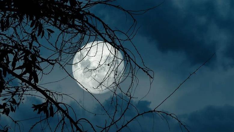 القمر الأزرق: ظاهرة فلكية نادرة تعود كل 3 سنوات.. ما سرها؟