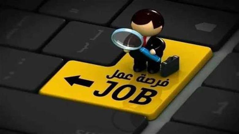 القوى العاملة تعلن عن آلاف الوظائف بالسويس 2026 برواتب تصل لـ 12 ألف جنيه