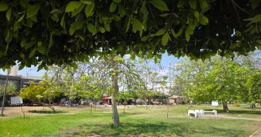 انخفاض درجات الحرارة ونشاط للرياح في الإسماعيلية اليوم