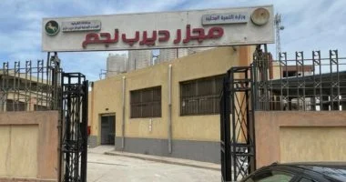 بدء التشغيل التجريبي لمجزر ديرب نجم بالشرقية بعد تطويره
