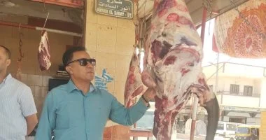 بيطري الإسماعيلية تضبط 1500 كيلو لحوم ودواجن فاسدة ومجهولة المصدر