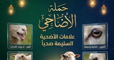 بيطري دمياط توضح 6 علامات للتأكد من سلامة الأضحية