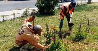 تجميل وتنسيق المواقع الحيوية بمركز القنطرة شرق في الإسماعيلية