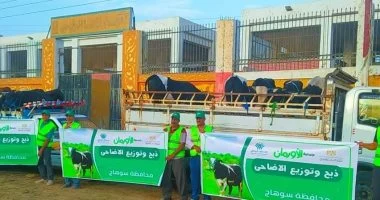 تضامن سوهاج توزع لحوم الأضاحي على الأسر الأولى بالرعاية بمراكز المحافظة