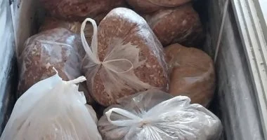 تموين بورسعيد تضبط 122 كيلوجراماً من اللحوم الفاسدة قبل تداولها بالأسواق