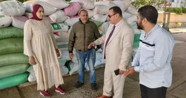تموين دمياط تطلق موسم توريد القمح المحلي وتيسيرات للمزارعين