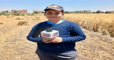 حصاد 175 ألف فدان قمح بمحافظة الشرقية
