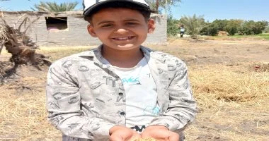 حصاد 270 ألف فدان قمح في محافظة الشرقية