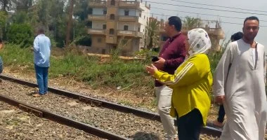 رفع آثار الأشجار والأسلاك من قضبان السكة الحديد بقرية مشلة بالغربية