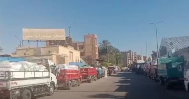 زراعة الأقصر تواصل استقبال القمح في الشون والصوامع بمدينتي إسنا وأرمنت