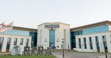 زيادة أسعار الاتصالات 15% وتوفير باقات جديدة منخفضة التكلفة