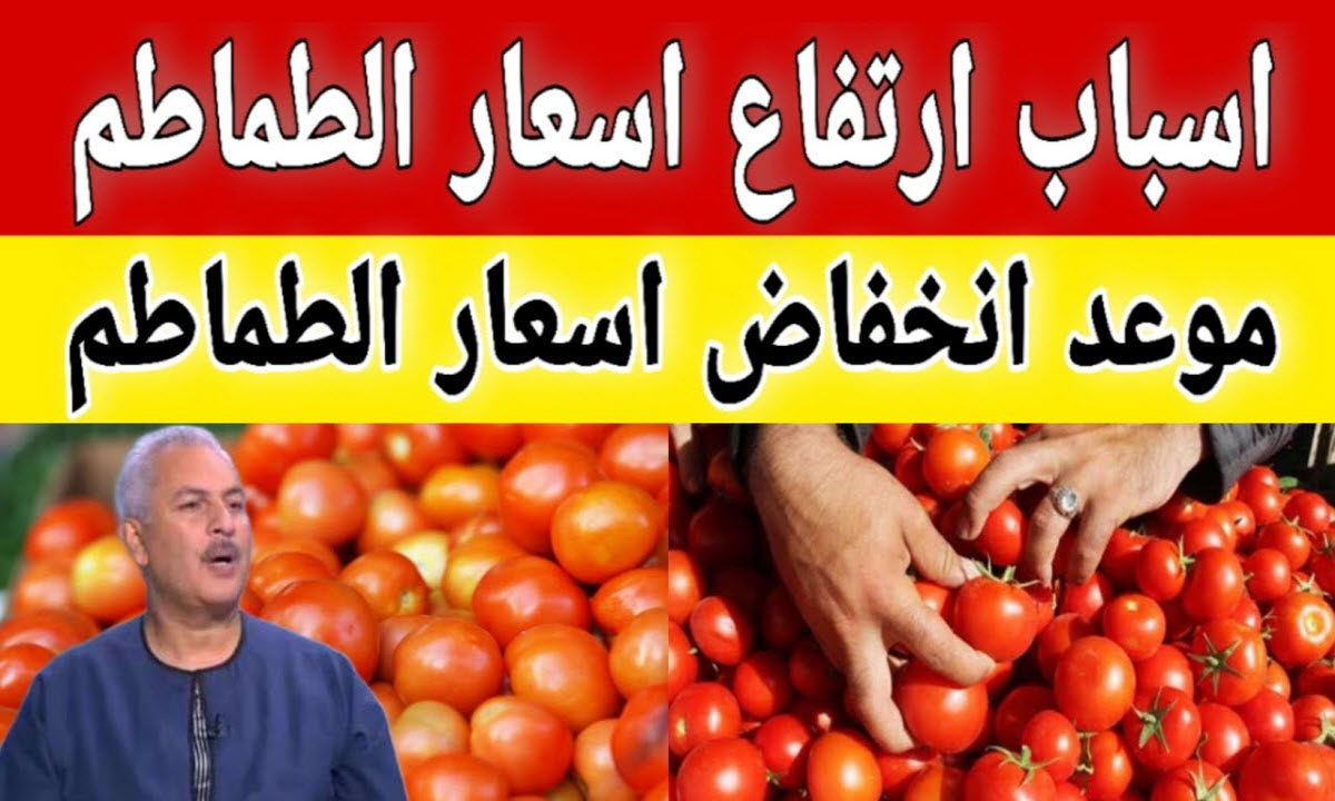 هترخص تاني .. نقيب الفلاحين يكشف أسباب ارتفاع أسعار الطماطم في الأسواق