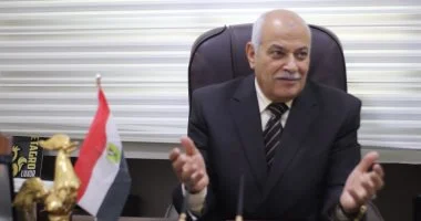 شعبة الدواجن: أسعار البيض تهبط لـ90 جنيها بفضل وفرة الإنتاج