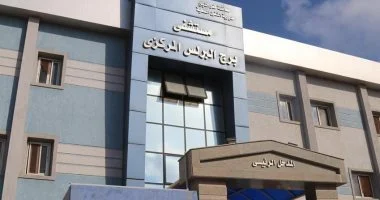 صحة كفر الشيخ تعلن إرشادات التعامل مع حالات عقر الكلاب ببرج البرلس