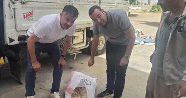 ضبط 14 طن دواجن غير صالحة للاستهلاك الآدمي بكفر الشيخ