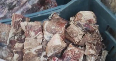 ضبط ربع طن لحوم غير صالحة للاستهلاك الآدمي بمركز السادات في المنوفية