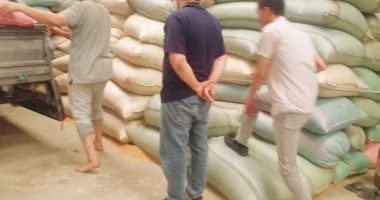 محافظ أسيوط يتابع توريد 53 ألف طن قمح وحصاد 45 ألف فدان