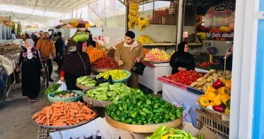 محافظ الدقهلية يفتتح ويطور عدداً من الأسواق الحضارية بالمراكز