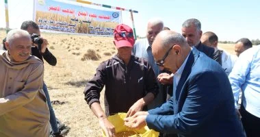 محافظ السويس يشهد موسم حصاد القمح ويوجه بدعم المزارعين