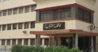 محافظ الشرقية يعتمد شروط القبول بمرحلة رياض الأطفال بالمدارس الرسمية للغات