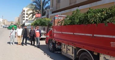 محافظ الفيوم يتابع استلام دفعة جديدة من الأشجار ضمن المبادرة الرئاسية