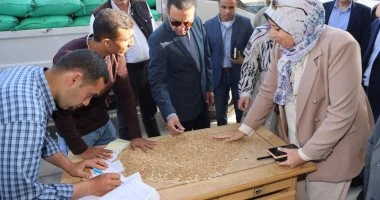 محافظ المنوفية يتفقد صوامع قويسنا ويتابع توريد 30 ألف طن قمح