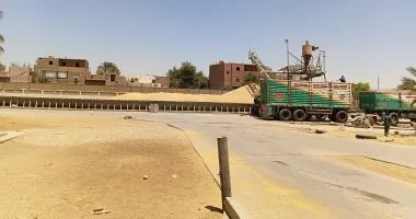 محافظ المنيا يعلن توريد 217 ألف طن قمح بصوامع المحافظة