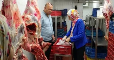 محافظ المنيا يوجه بتشميع 31 منشأة وتحرير 71 محضراً بالمنيا وملوي