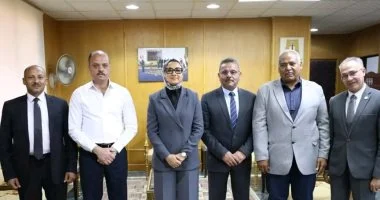 محافظ الوادي الجديد تبحث التوسع في مشروعات الطاقة النظيفة بالفرافرة