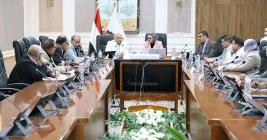 محافظ الوادي الجديد تبحث مع وزارة النقل استكمال مشروعات الطرق بالمحافظة