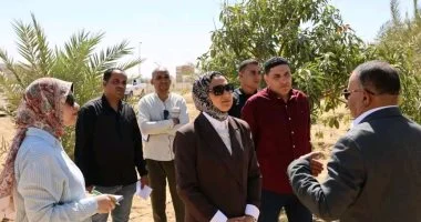 محافظ الوادي الجديد تتفقد مشروعات الاستثمار الزراعي بالخارجة