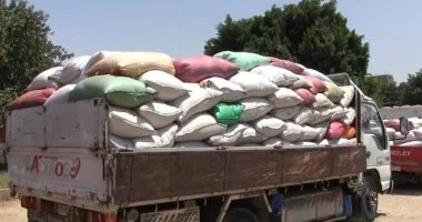 محافظ سوهاج يتابع توريد 57 ألف طن قمح وتجهيز 15 موقعاً تخزينياً