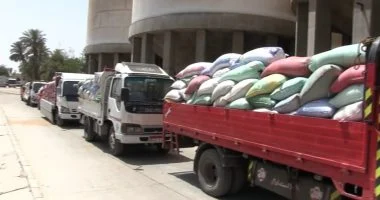 محافظ سوهاج يعلن توريد 100 ألف طن قمح للصوامع والشون بالمحافظة