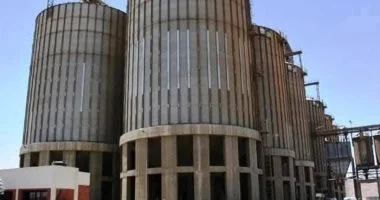 محافظ سوهاج يعلن توريد 64 ألف طن قمح وصرف المستحقات فوراً