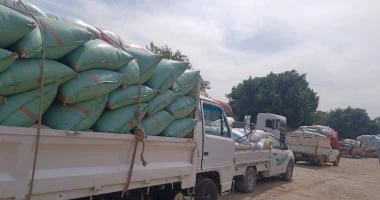 محافظ سوهاج يوجه بصرف مستحقات توريد 80 ألف طن قمح فوراً