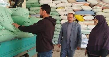 محافظ كفر الشيخ يعلن توريد 52 ألف طن قمح بالمحافظة