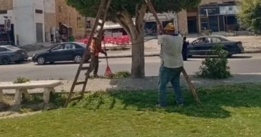 محافظة البحيرة تفتح باب المشاركة في دورة المبادرة الوطنية للمشروعات الخضراء