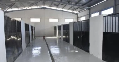 محافظة بورسعيد تبدأ تشغيل موقع إيواء الكلاب الضالة بجنوب المحافظة